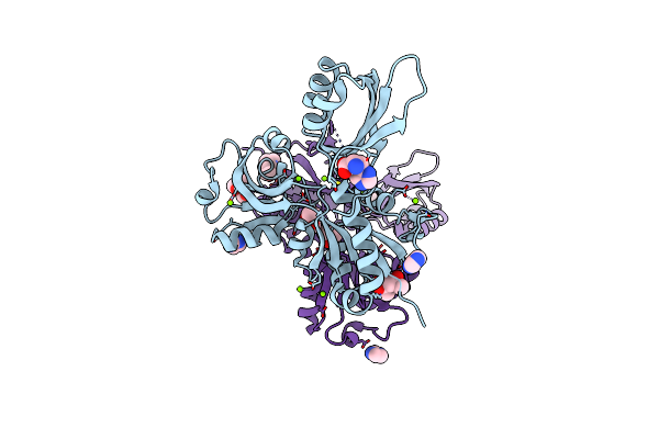 2VD3 image
