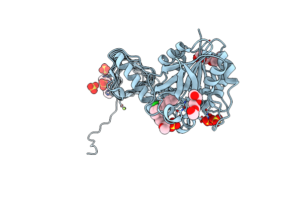 2VD4 image