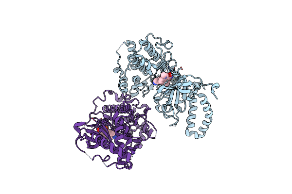 2VD5 image