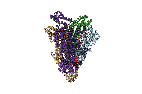2VD6 image