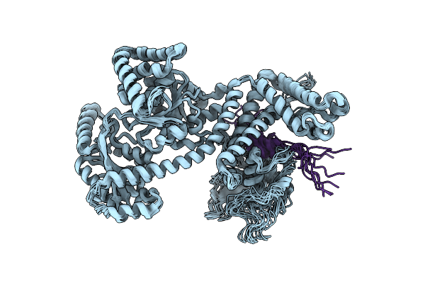 2VDA image