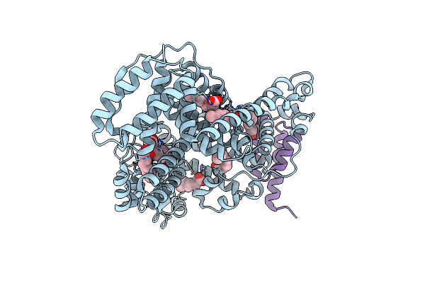 2VDB image