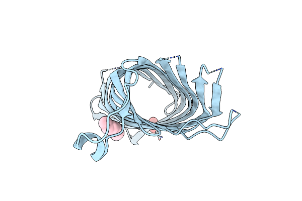 2VDF image