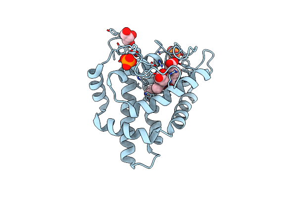 2VEB image