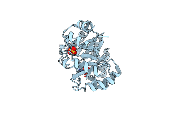 2VEP image