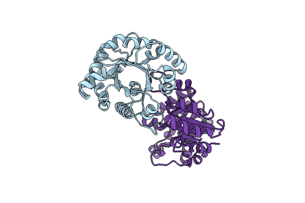 2VFF image