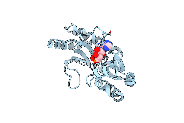 2VFK image
