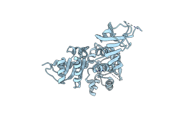 2VGM image