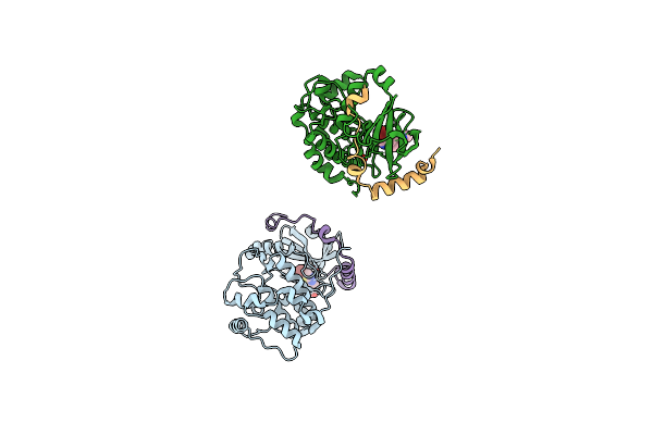 2VGP image