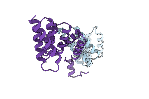 2VGX image