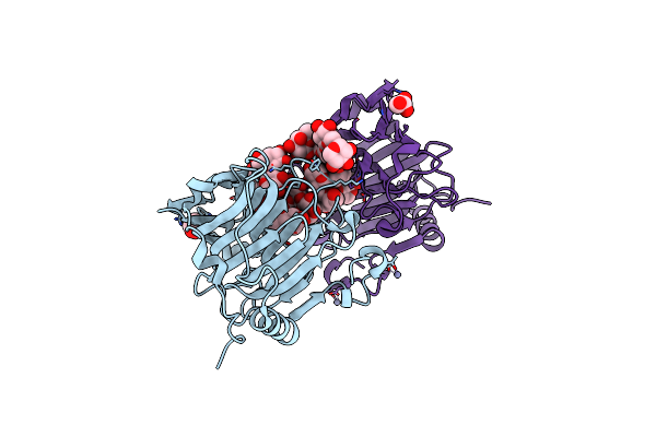 2VH9 image