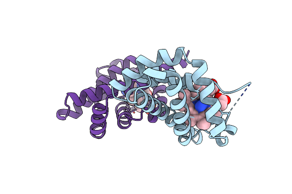 2VHB image