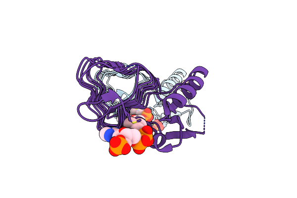 2VHE image