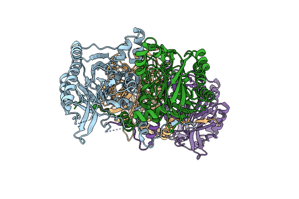 2VHH image