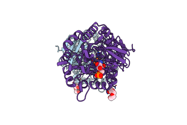2VHL image