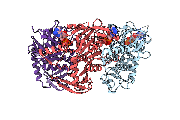 2VHT image