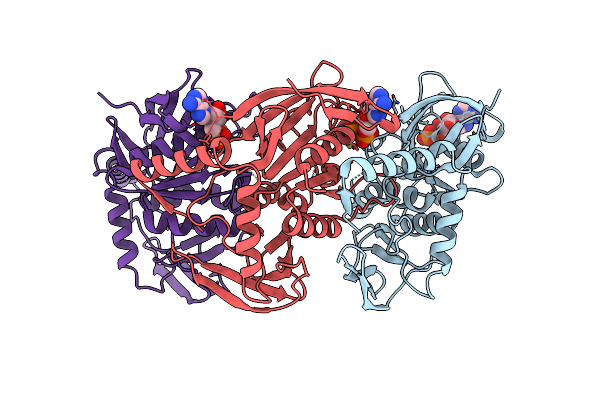 2VHU image