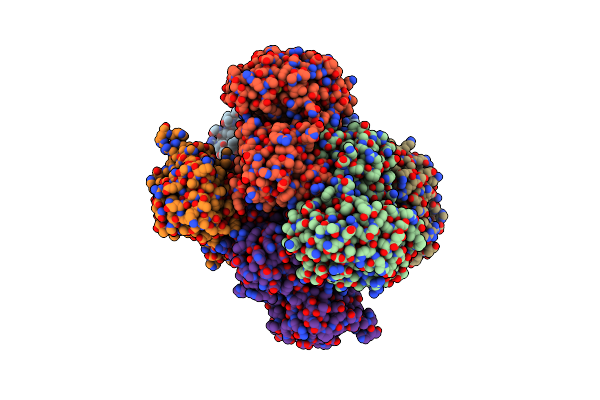 2VHW image