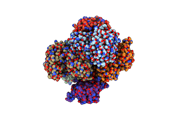 2VHX image