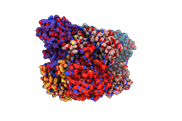 2VIG image
