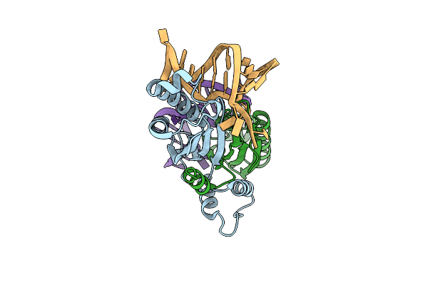 2VIH image