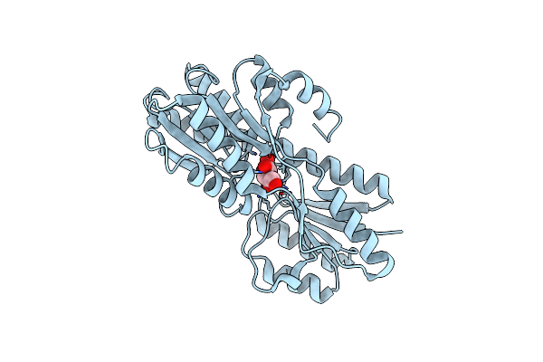 2VK2 image