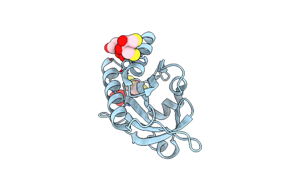 2VK3 image