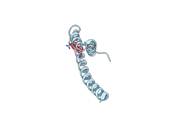 2VKL image