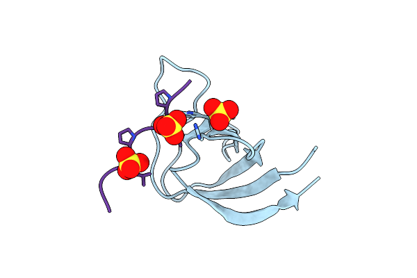 2VKN image