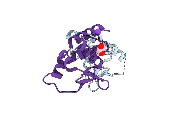 2VKP image