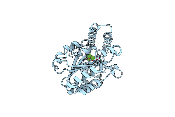 2VKQ image