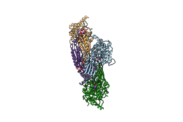 2VL1 image