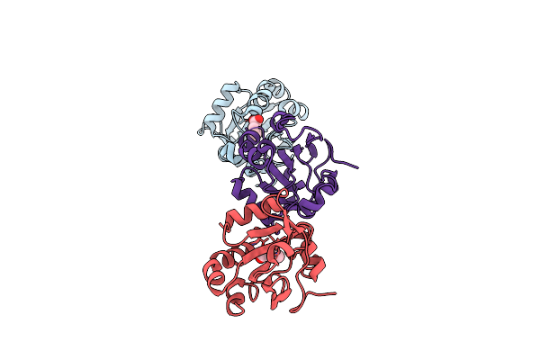 2VL2 image