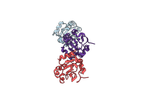 2VL3 image