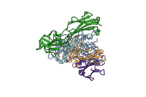 2VL5 image