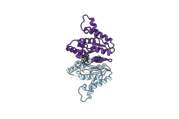 2VLI image