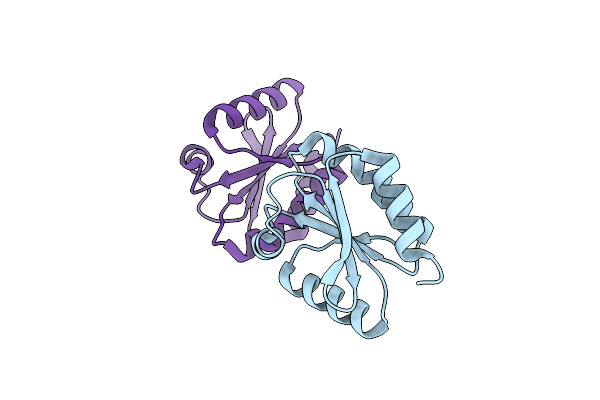 2VLT image