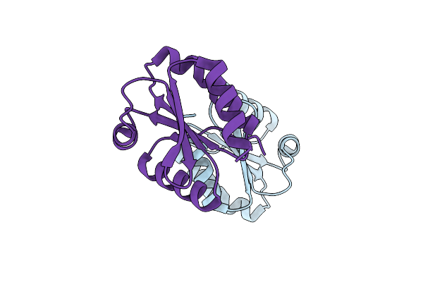 2VLU image