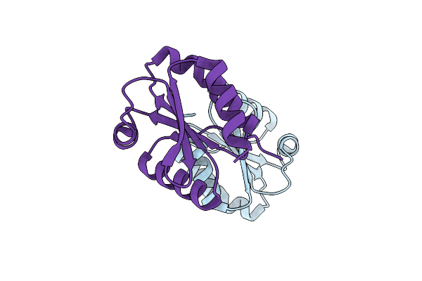 2VLV image