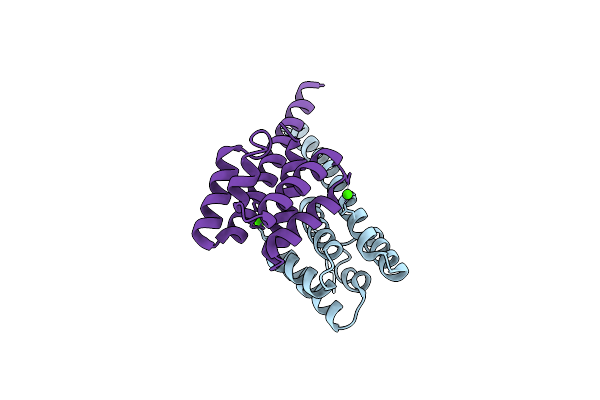 2VMB image