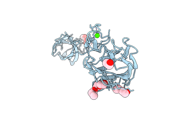 2VMD image