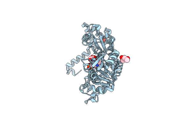2VMT image