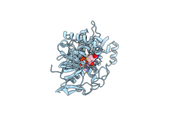 2VNA image
