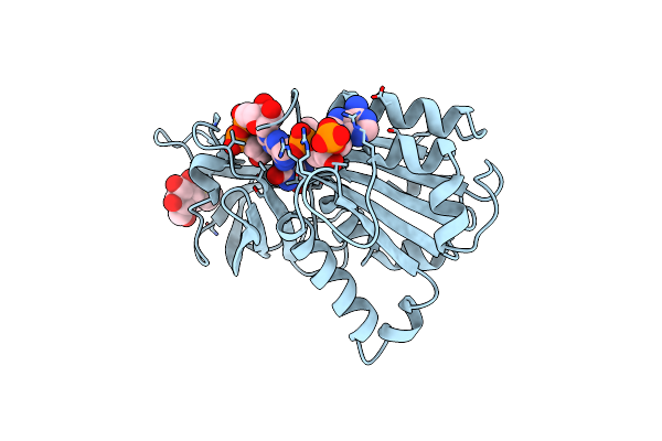 2VNI image