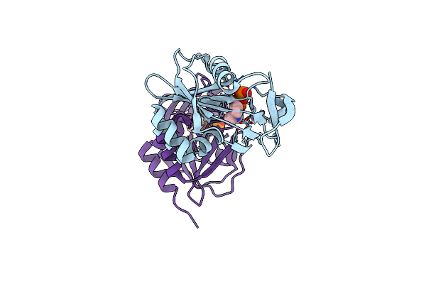2VNP image