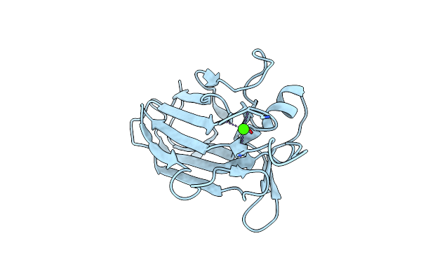 2VNR image