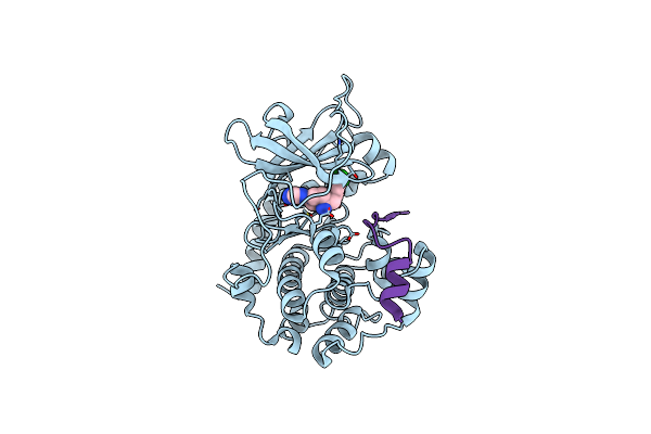 2VO6 image