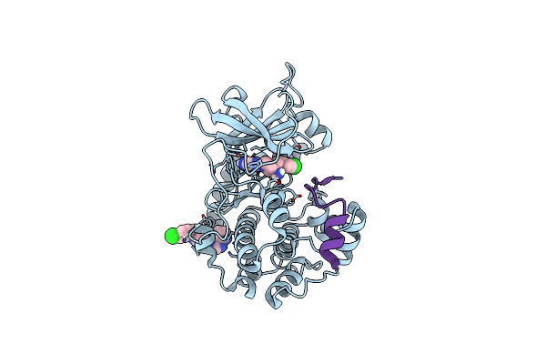 2VO7 image
