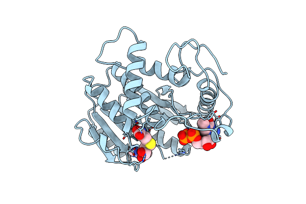 2VP3 image