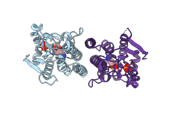 2VP5 image